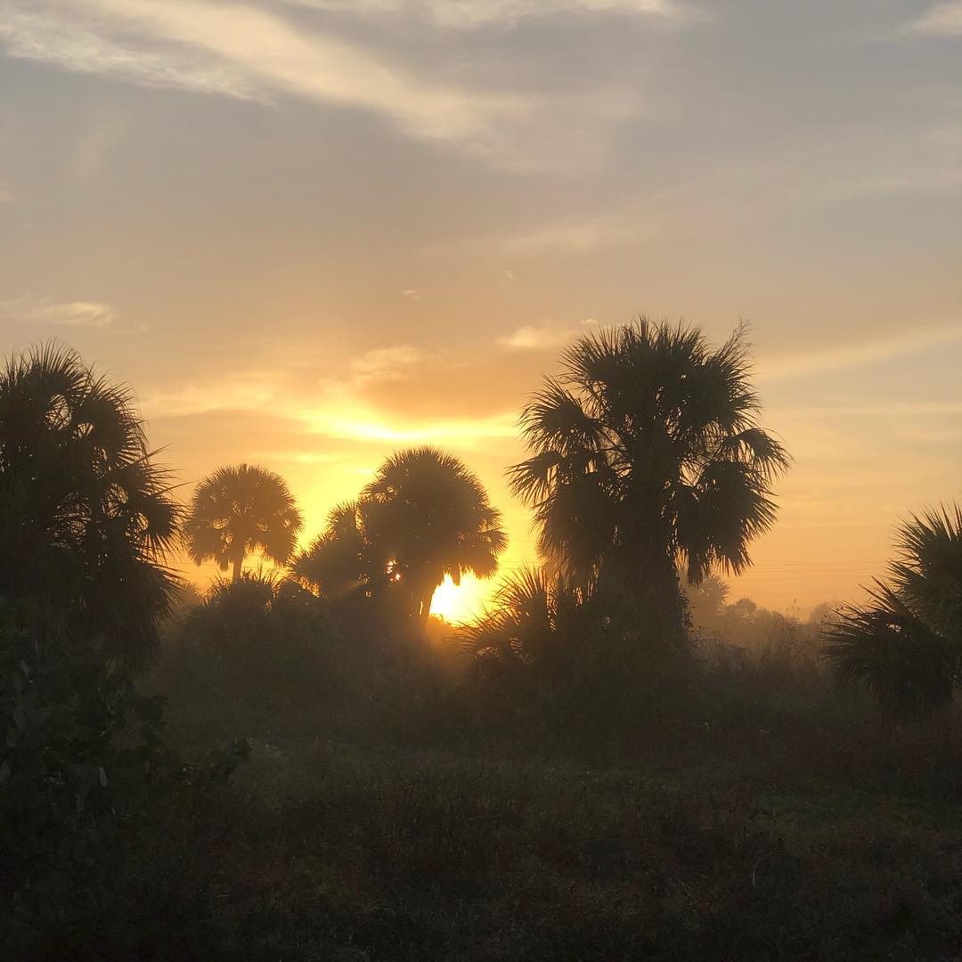 Oh Florida, I am loving you. Especially now that the rain has stopped! • I always knew I was meant to be a snowbird. Just started a few years earlier than I thought .🌞•