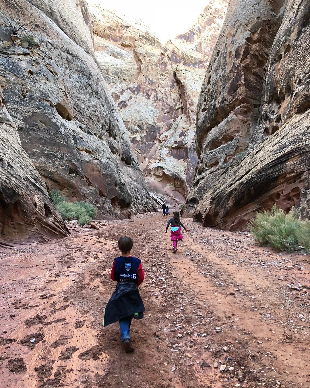 grand-wash-trail-capitol-reef-national-park.-•-this-park-surprised-us-so-much.-we-were-only-there- Grand Wash Trail, Capitol Reef National Park. • This park surprised us so much. We were only there for 5 days and most of that time we were doing school and work. But the hikes we took and the beautiful things we saw were pretty awesome. • Capitol Reef is definitely the underdog of the 5 National Parks in Utah. But we think it’s worth the stop! •