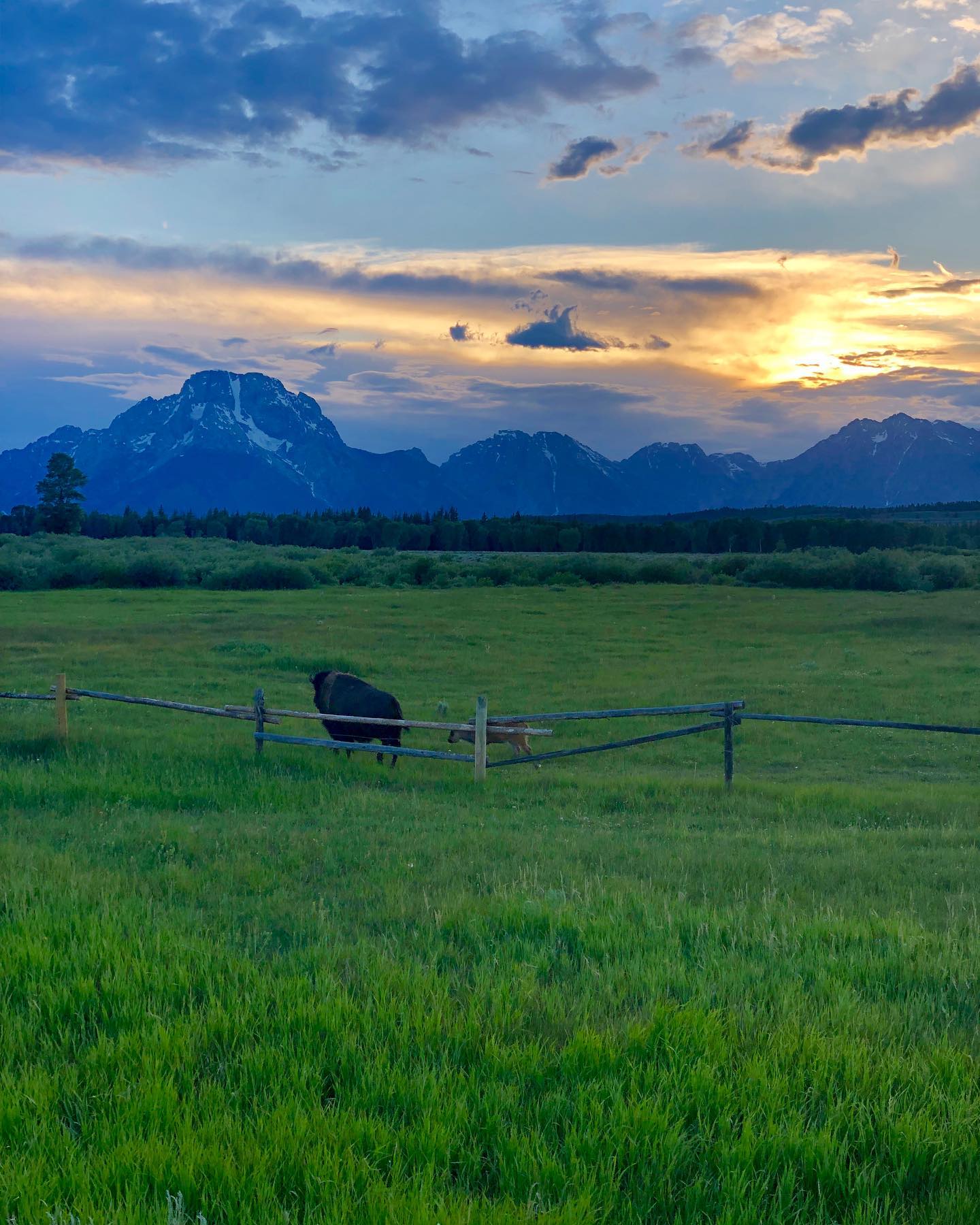 this-park-was-one-of-our-favorite-national-parks-for-sure.-the-beauty-was-just-always-right-before-o This park was one of our favorite national parks, for sure. The beauty was just always right before our eyes and it was always changing! • Many national parks you have to hike to see a a lot of the beauty, which we don’t mind (well sometimes we don’t mind). But here the beauty was just so accessible. • We will definitely be coming back again someday! •