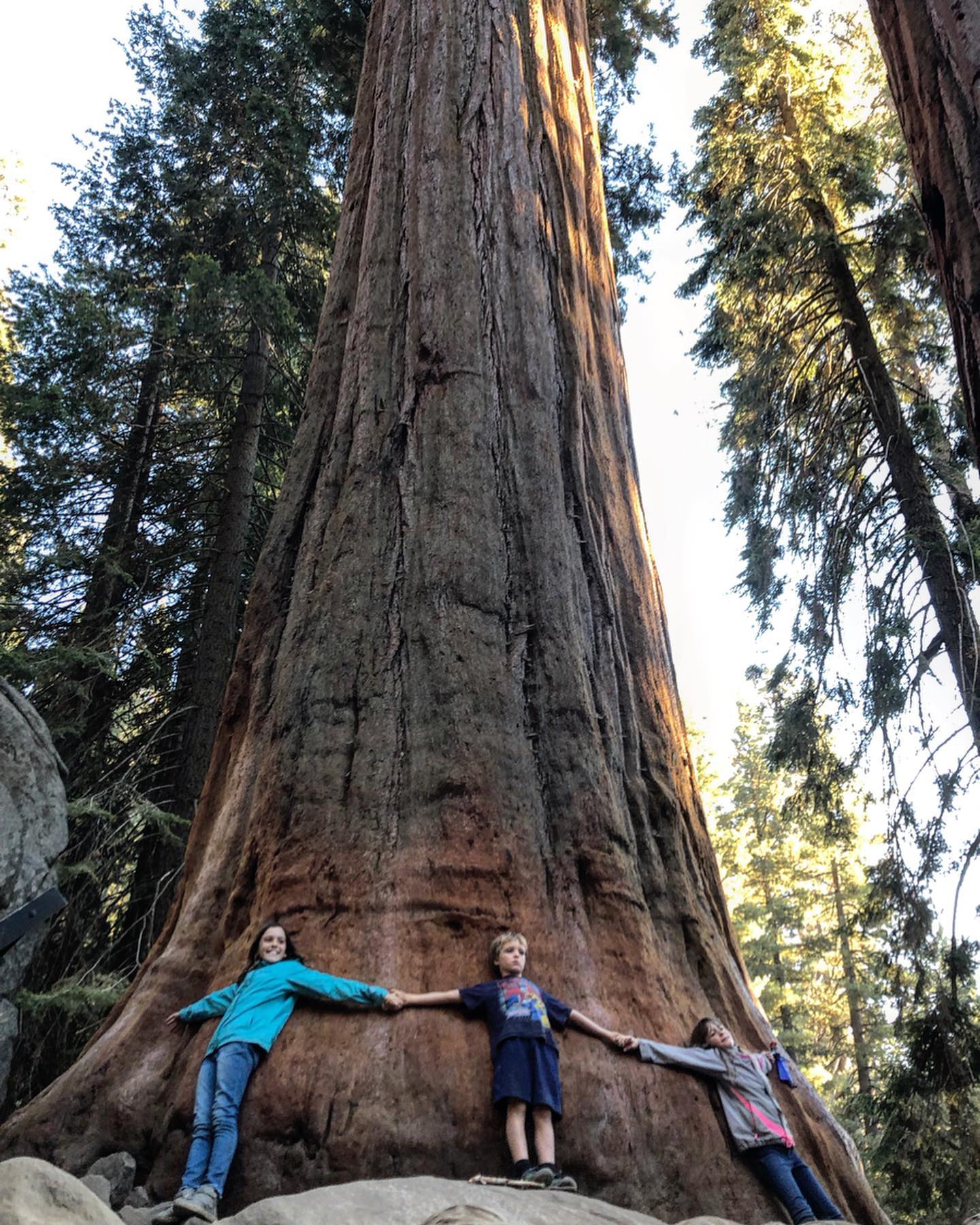 Prepare your heart ... I’m trying to catch up on my Instagramming and intend to over post #sorrynotsorry🤷🏻‍♀️. Don’t worry, it will be over in a couple of days . ✹ Sequoia National Park ✹